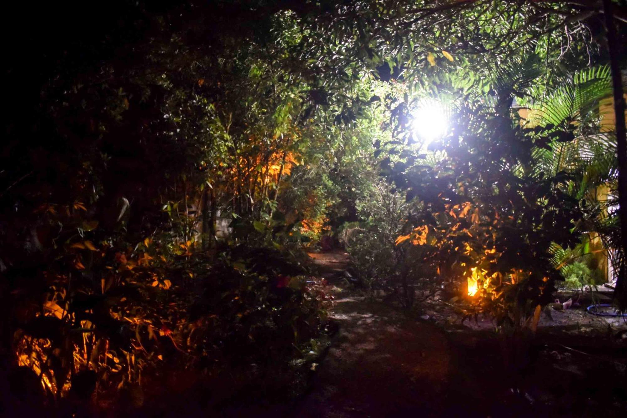 Tamarind Tamarind Resort, Tourist Board Approved ハバラナ エクステリア 写真