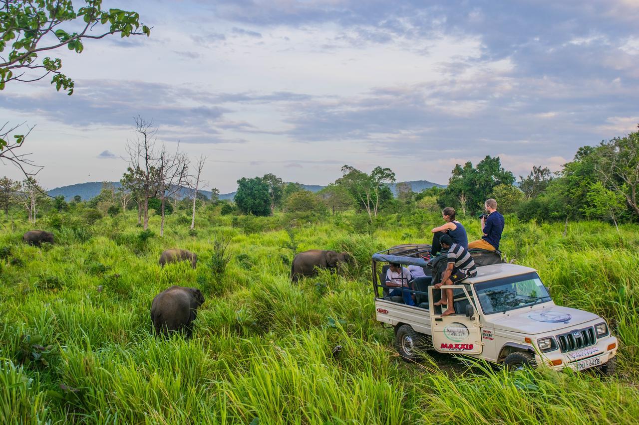 Tamarind Tamarind Resort, Tourist Board Approved ハバラナ エクステリア 写真