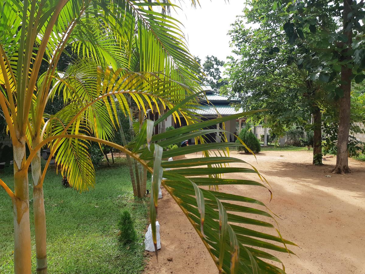 Tamarind Tamarind Resort, Tourist Board Approved ハバラナ エクステリア 写真