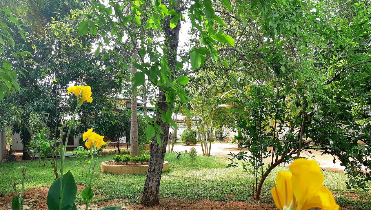 Tamarind Tamarind Resort, Tourist Board Approved ハバラナ エクステリア 写真