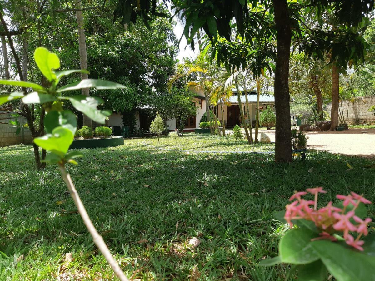 Tamarind Tamarind Resort, Tourist Board Approved ハバラナ エクステリア 写真